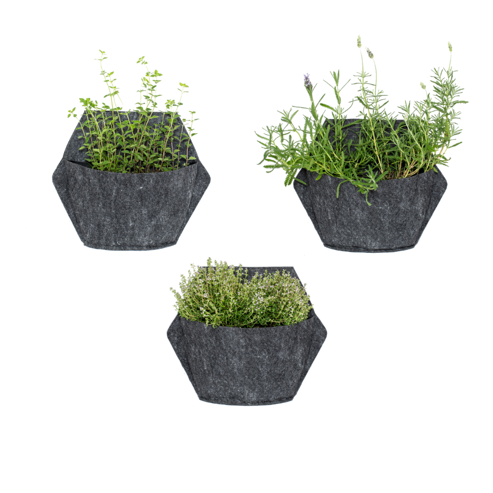 CitySens 3-Pack Wall Planters with Textile Covers – Black Vertical Wall Planter Set with Recycled Covers - Image 1