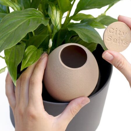 CitySens Hydrating Olla – Beige Natural Irrigation Amphora for Indoor Plants, 35 cl Capacity - Image 5