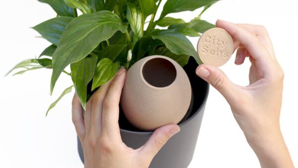 CitySens Hydrating Olla – Beige Natural Irrigation Amphora for Indoor Plants, 35 cl Capacity