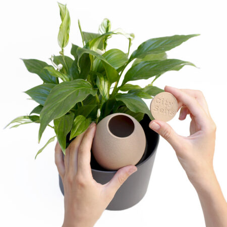 CitySens Hydrating Olla – Beige Natural Irrigation Amphora for Indoor Plants, 35 cl Capacity - Image 6