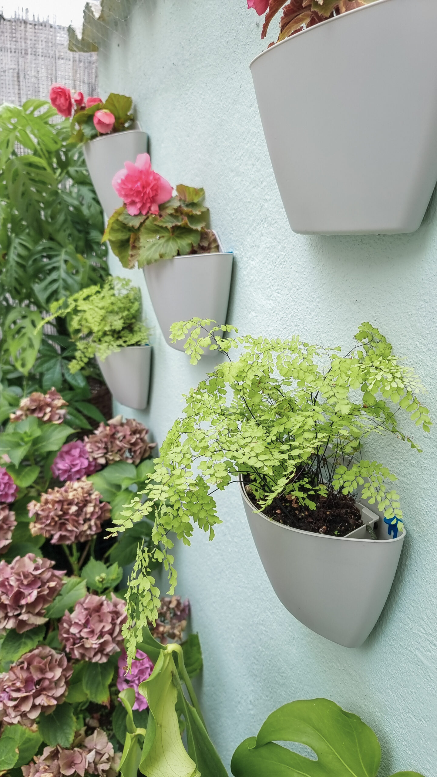 CitySens 3-Pack Wall Planters – Gray Vertical Wall Planter Set for Indoor and Outdoor Plants - Image 3