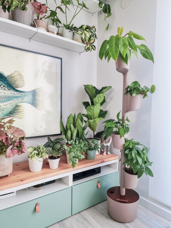 CitySens Vertical Planter – Pine Bark 4 Pots with Wi-Fi Smart Watering Kit and Teak Wood Details