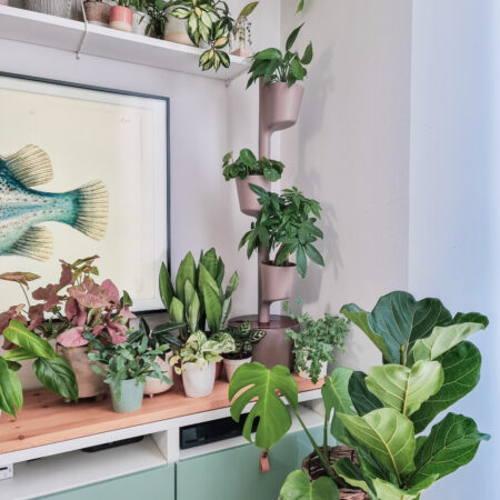 CitySens Vertical Planter – Pine Bark 3 Pots with Wi-Fi Smart Watering Kit and Teak Wood Details - Image 2