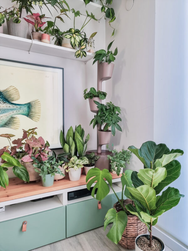 CitySens Vertical Planter – Pine Bark 3 Pots with Wi-Fi Smart Watering Kit and Teak Wood Details