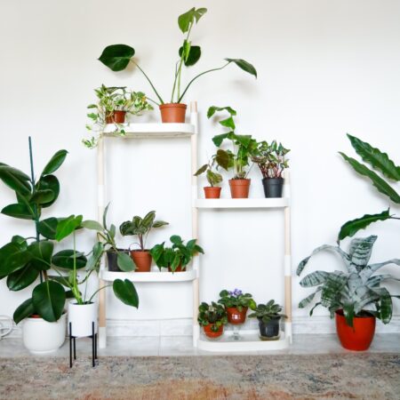 CitySens Modular Plant Shelf – White 4-Tray Indoor Vertical Gardening Shelf - Image 12