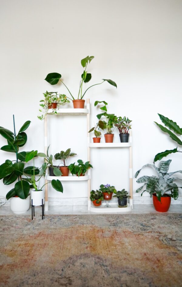 CitySens Modular Plant Shelf – White 4-Tray Indoor Vertical Gardening Shelf