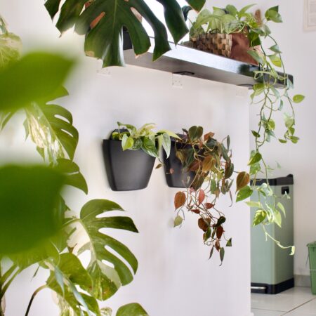 CitySens 3-Pack Wall Planters – Black Vertical Wall Planter Set for Indoor and Outdoor Plants - Image 2