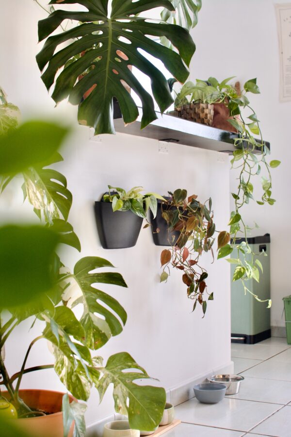 CitySens 3-Pack Wall Planters – Black Vertical Wall Planter Set for Indoor and Outdoor Plants