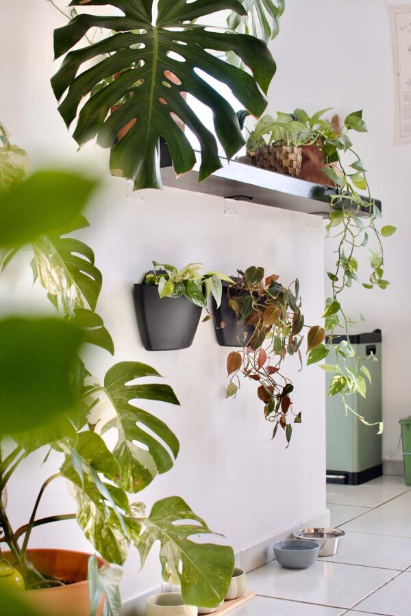 CitySens 3-Pack Wall Planters – Black Vertical Wall Planter Set for Indoor and Outdoor Plants