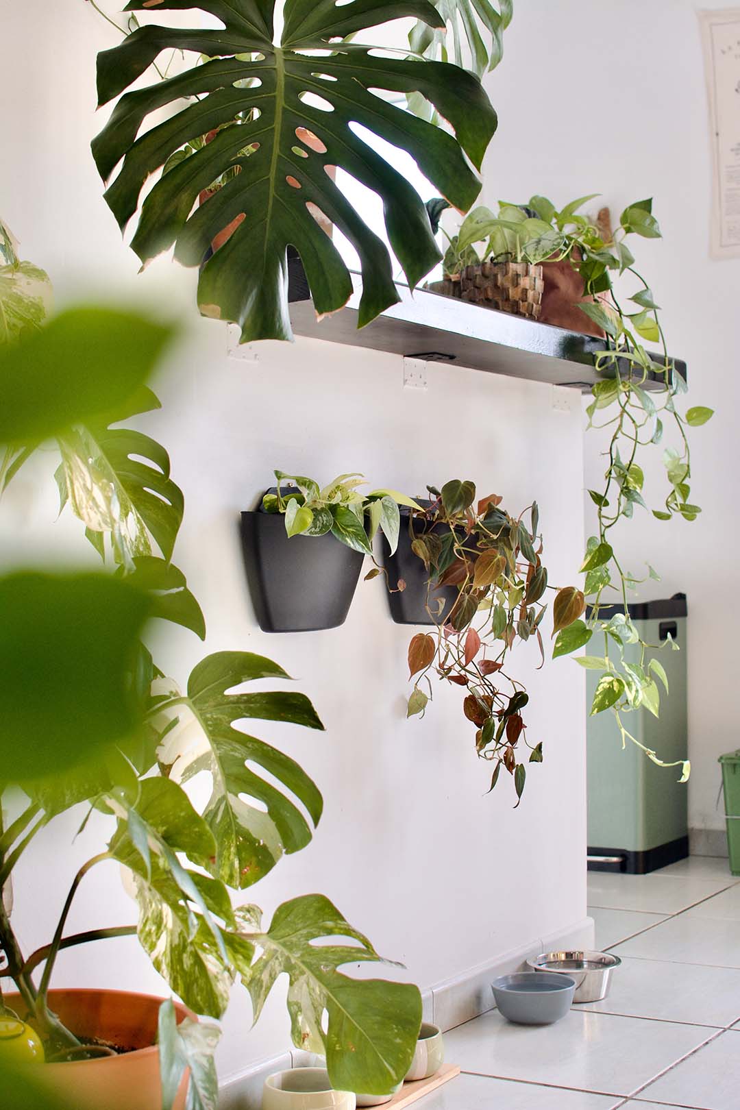 CitySens 3-Pack Wall Planters – Black Vertical Wall Planter Set for Indoor and Outdoor Plants - Image 3