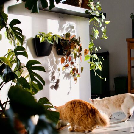 CitySens 3-Pack Wall Planters – Black Vertical Wall Planter Set for Indoor and Outdoor Plants - Image 5