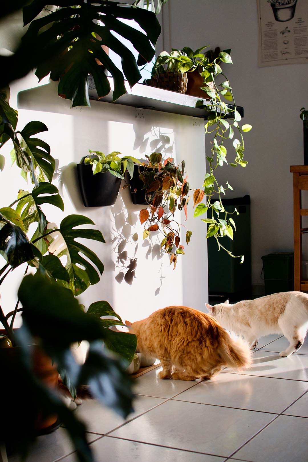 CitySens 3-Pack Wall Planters – Black Vertical Wall Planter Set for Indoor and Outdoor Plants - Image 5