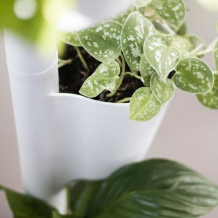 CitySens Vertical Planter – White 3 Pots with Automatic Watering Digital Kit - Image 8