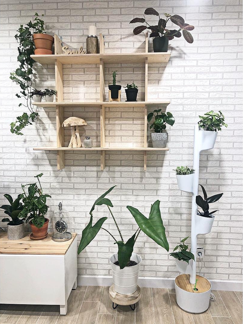 CitySens Vertical Planter – White 4 Pots with Automatic Watering Digital Kit - Image 9