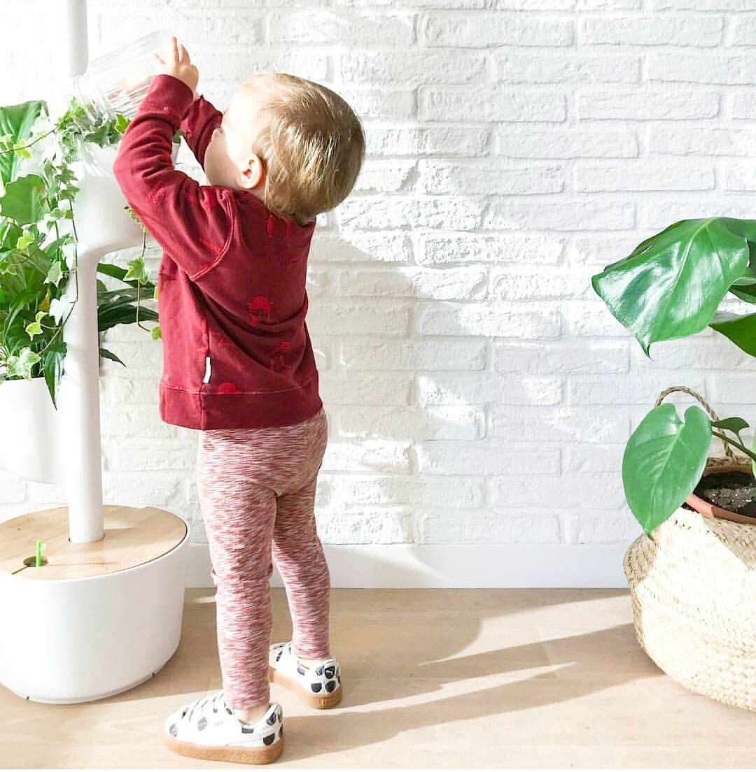 CitySens Vertical Planter – White 3 Pots with Wi-Fi Smart Watering Kit - Image 2