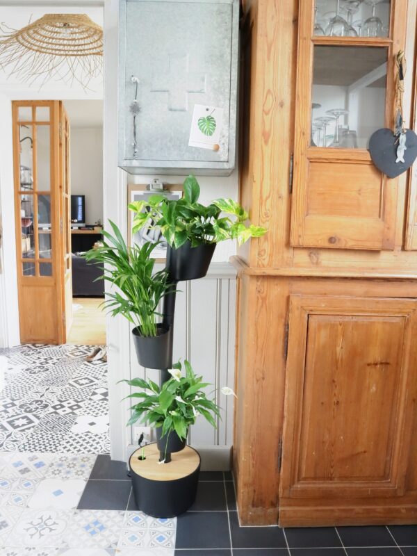 CitySens Vertical Planter – Black 3 Pots with Digital Watering Kit and Teak Wood Details