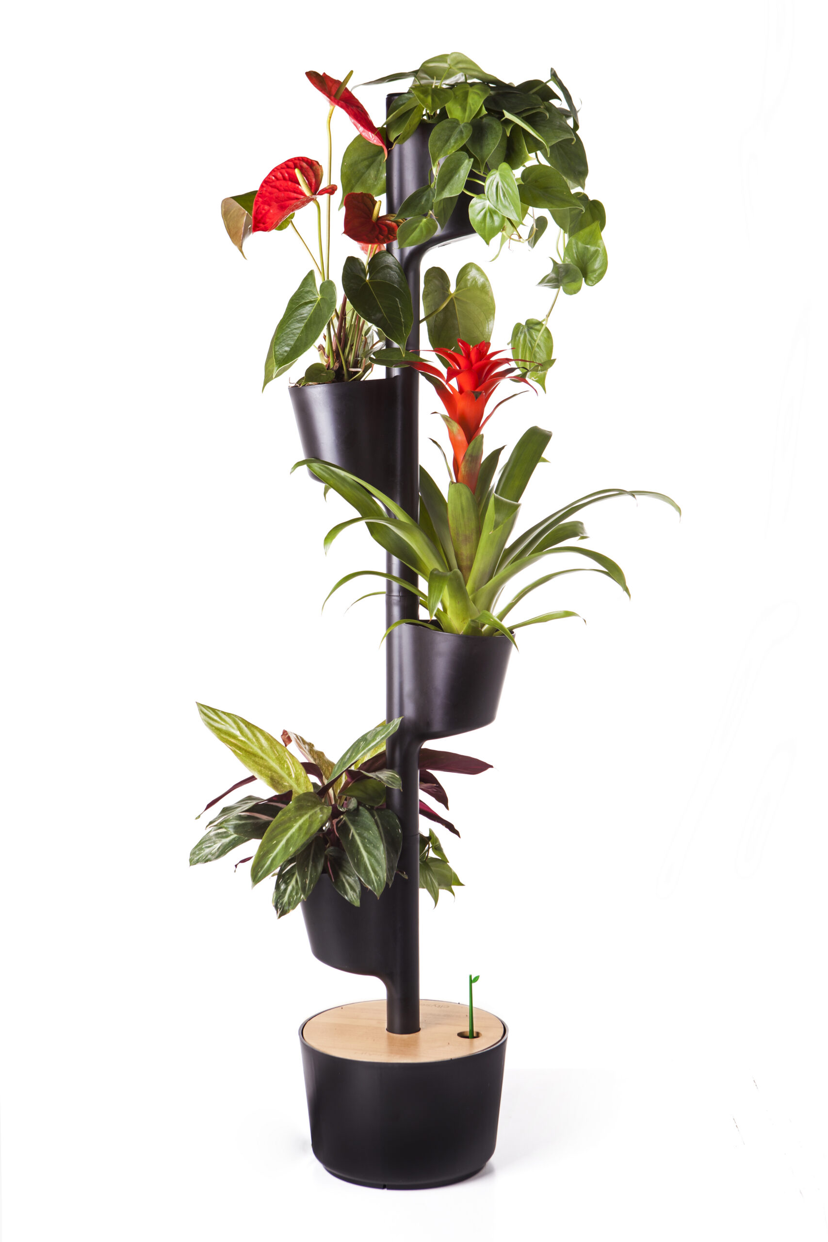 CitySens Vertical Planter – Black 4 Pots with Automatic Watering Digital Kit - Image 13