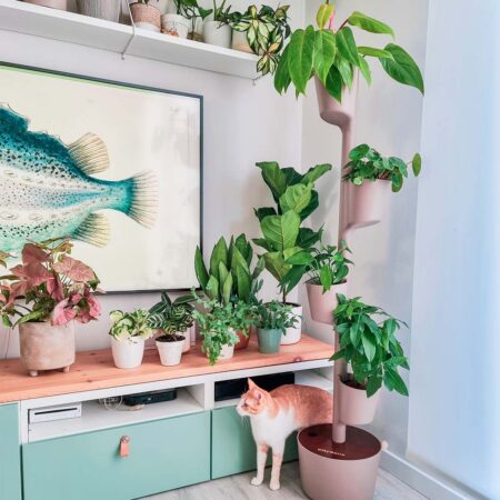 CitySens Vertical Planter – Pine Bark 4 Pots with Wi-Fi Smart Watering Kit and Teak Wood Details - Image 6