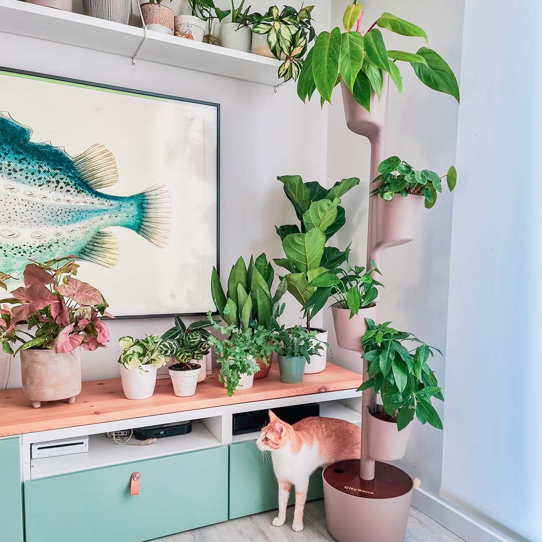 CitySens Vertical Planter – Pine Bark 4 Pots with Wi-Fi Smart Watering Kit and Teak Wood Details - Image 6