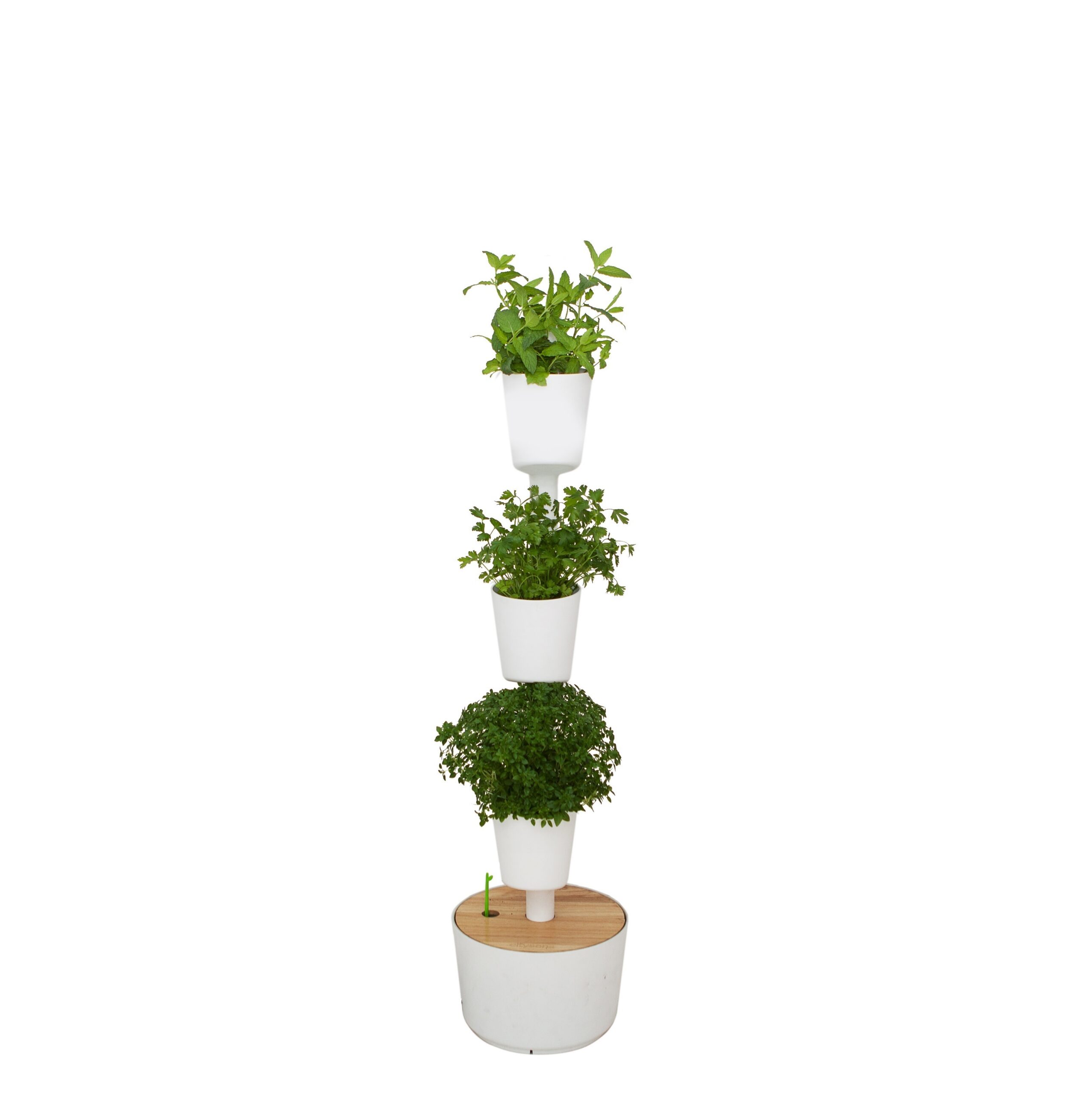 CitySens Indoor Urban Garden with Seeds – White 3 Pots with Digital Watering Kit - Image 1