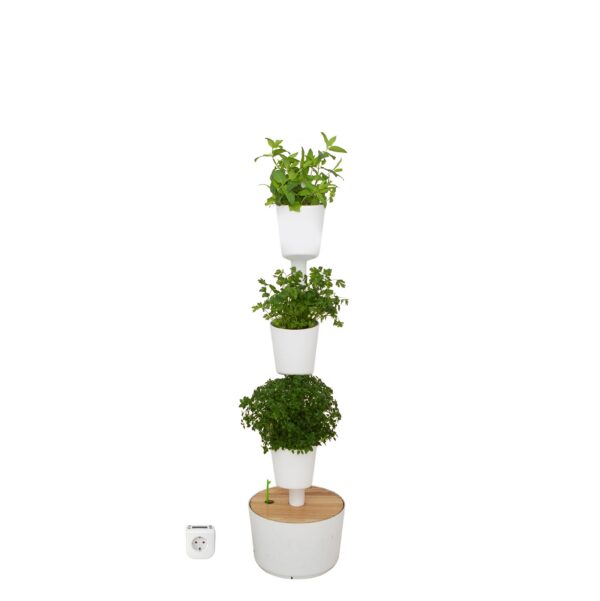 CitySens Indoor Urban Garden with Seeds – White 3 Pots with Digital Watering Kit
