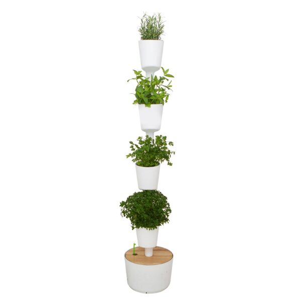 CitySens Indoor Urban Garden with Seeds – White 4 Pots with Digital Watering Kit