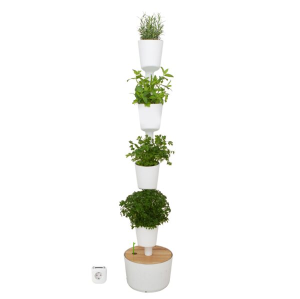 CitySens Indoor Urban Garden with Seeds – White 4 Pots with Digital Watering Kit