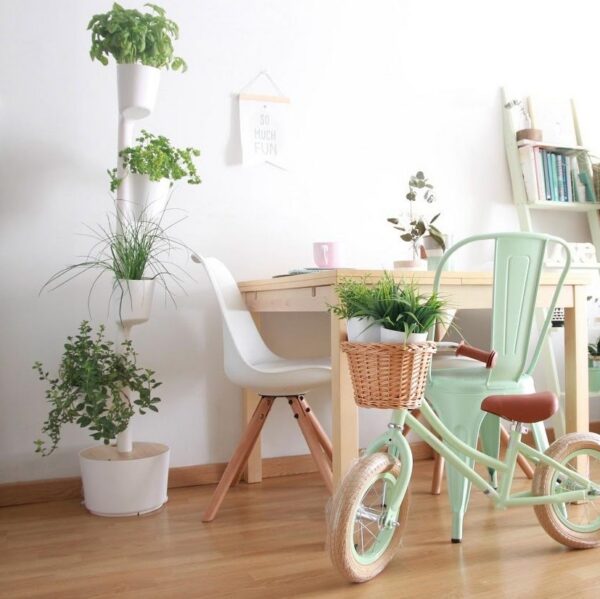 CitySens Indoor Urban Garden with Seeds – White 4 Pots with Digital Watering Kit