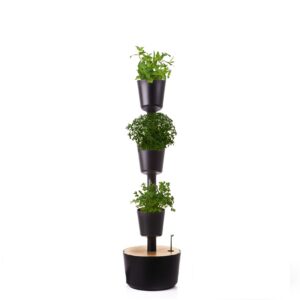 CitySens Indoor Urban Garden with Seeds – Black 3 Pots with Digital Watering Kit