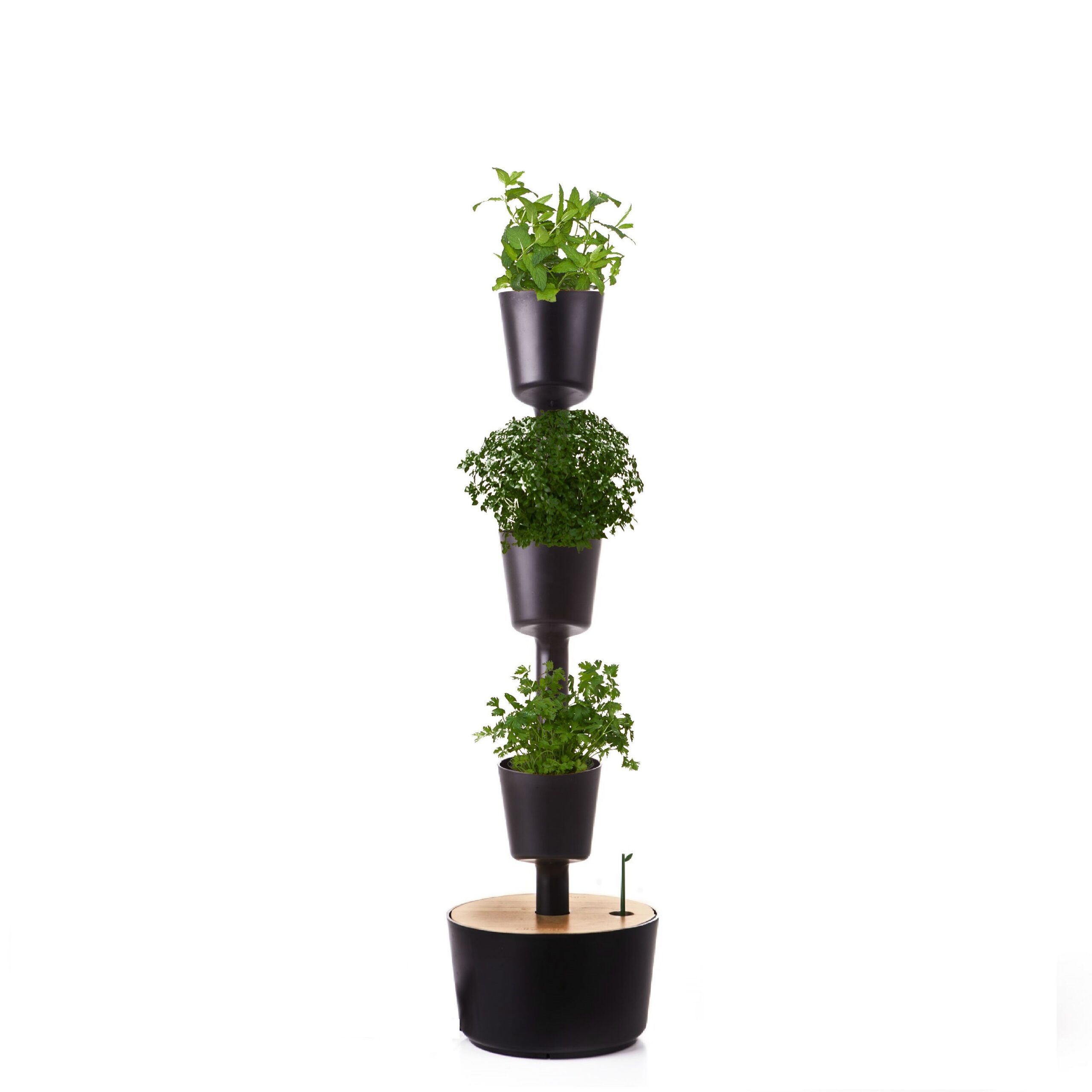 CitySens Indoor Urban Garden with Seeds – Black 3 Pots with Digital Watering Kit - Image 1