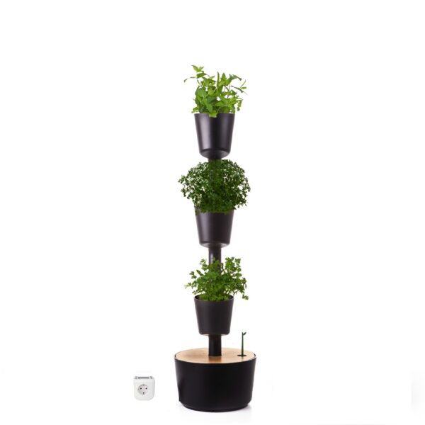 CitySens Indoor Urban Garden with Seeds – Black 3 Pots with Digital Watering Kit
