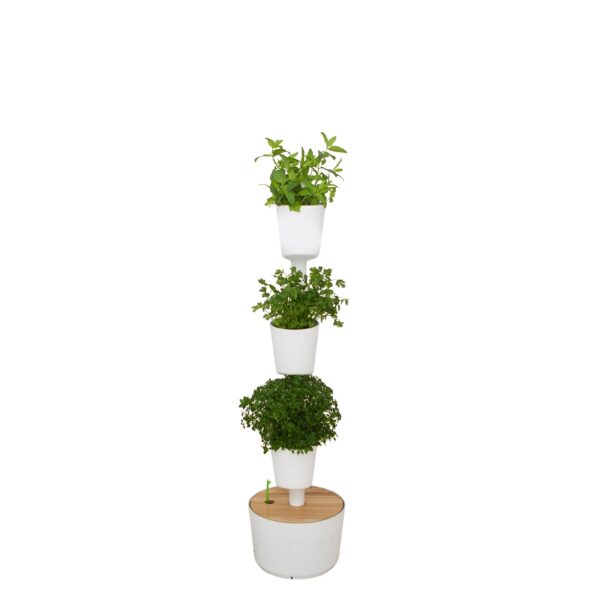 CitySens Indoor Urban Garden with Seeds – White 3 Pots with Wi-Fi Smart Watering Kit