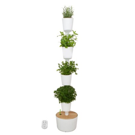 CitySens Indoor Urban Garden with Seeds – White 4 Pots with Wi-Fi Smart Watering Kit - Image 4