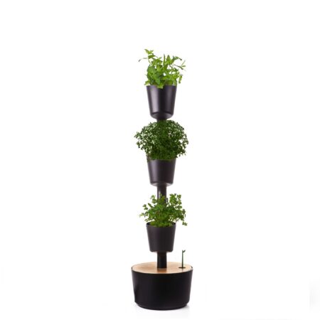 CitySens Indoor Urban Garden with Seeds – Black 3 Pots with Wi-Fi Smart Watering Kit