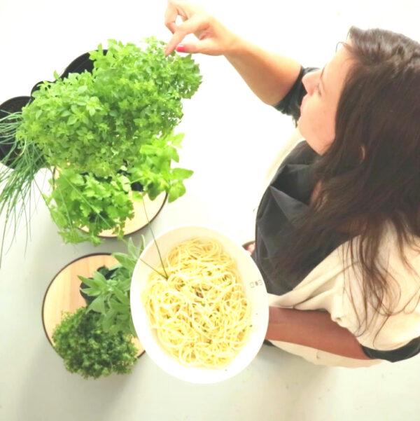 CitySens Indoor Urban Garden with Seeds – Black 3 Pots with Wi-Fi Smart Watering Kit