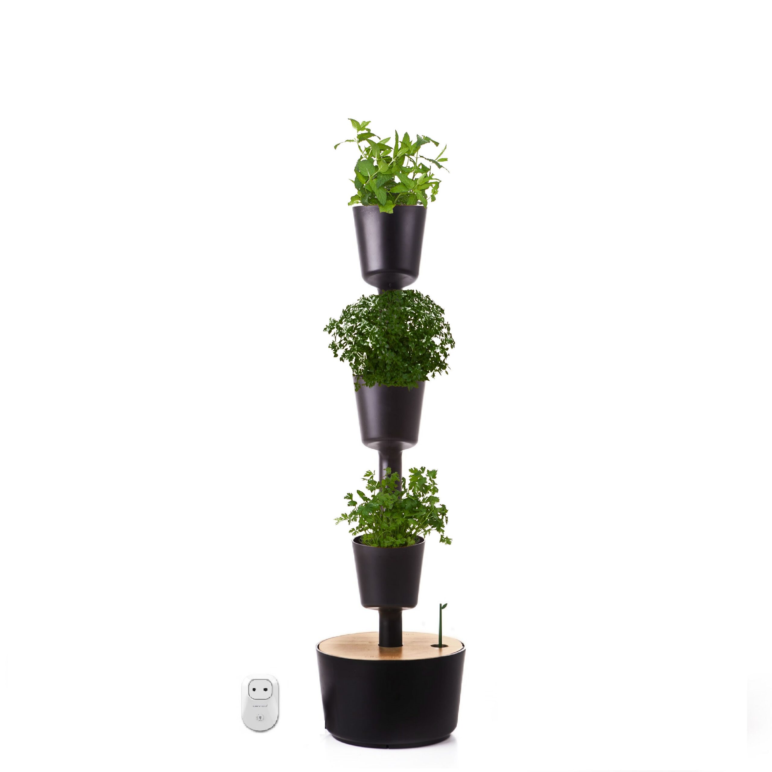CitySens Indoor Urban Garden with Seeds – Black 3 Pots with Wi-Fi Smart Watering Kit - Image 3