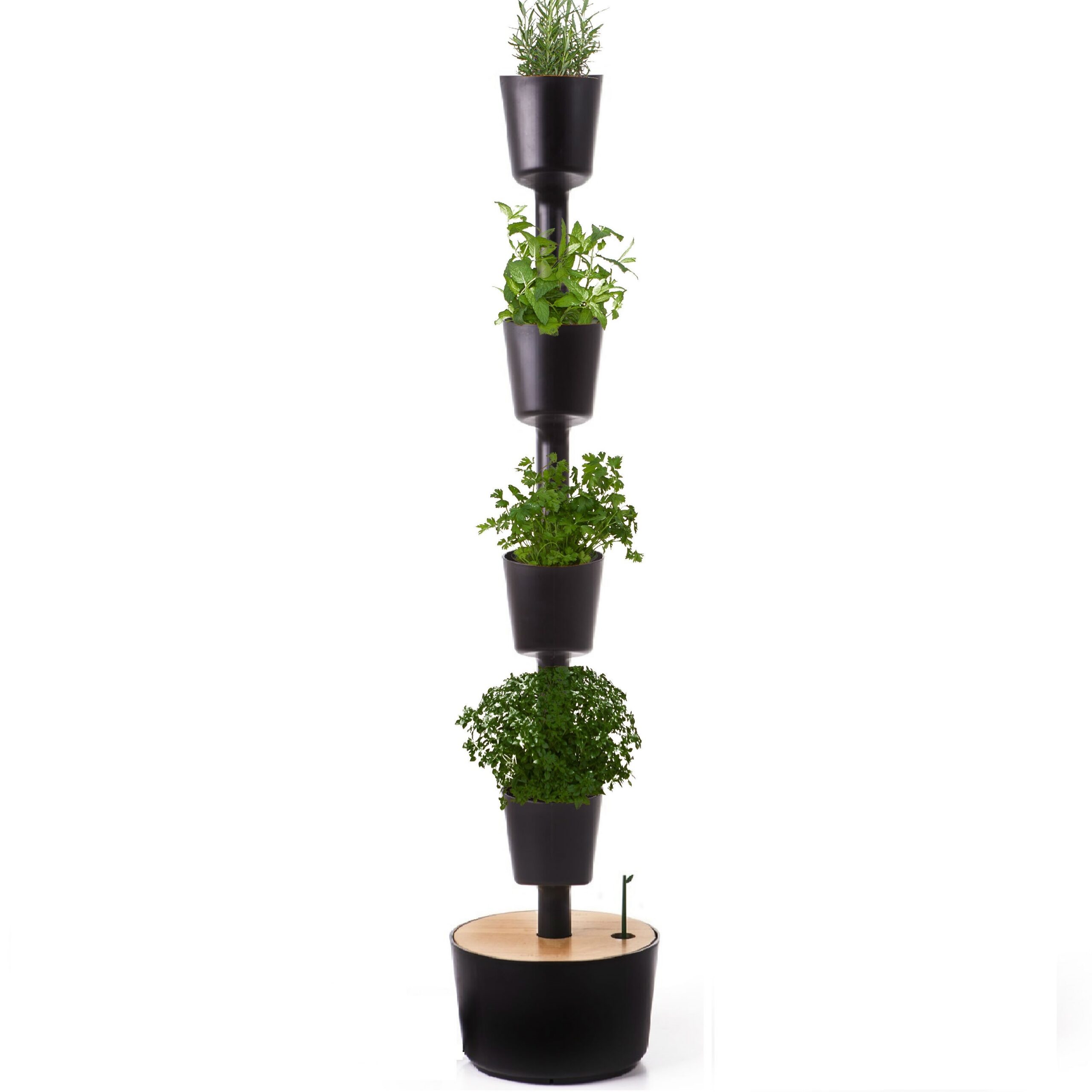 CitySens Indoor Urban Garden with Seeds – Black 4 Pots with Wi-Fi Smart Watering Kit - Image 1