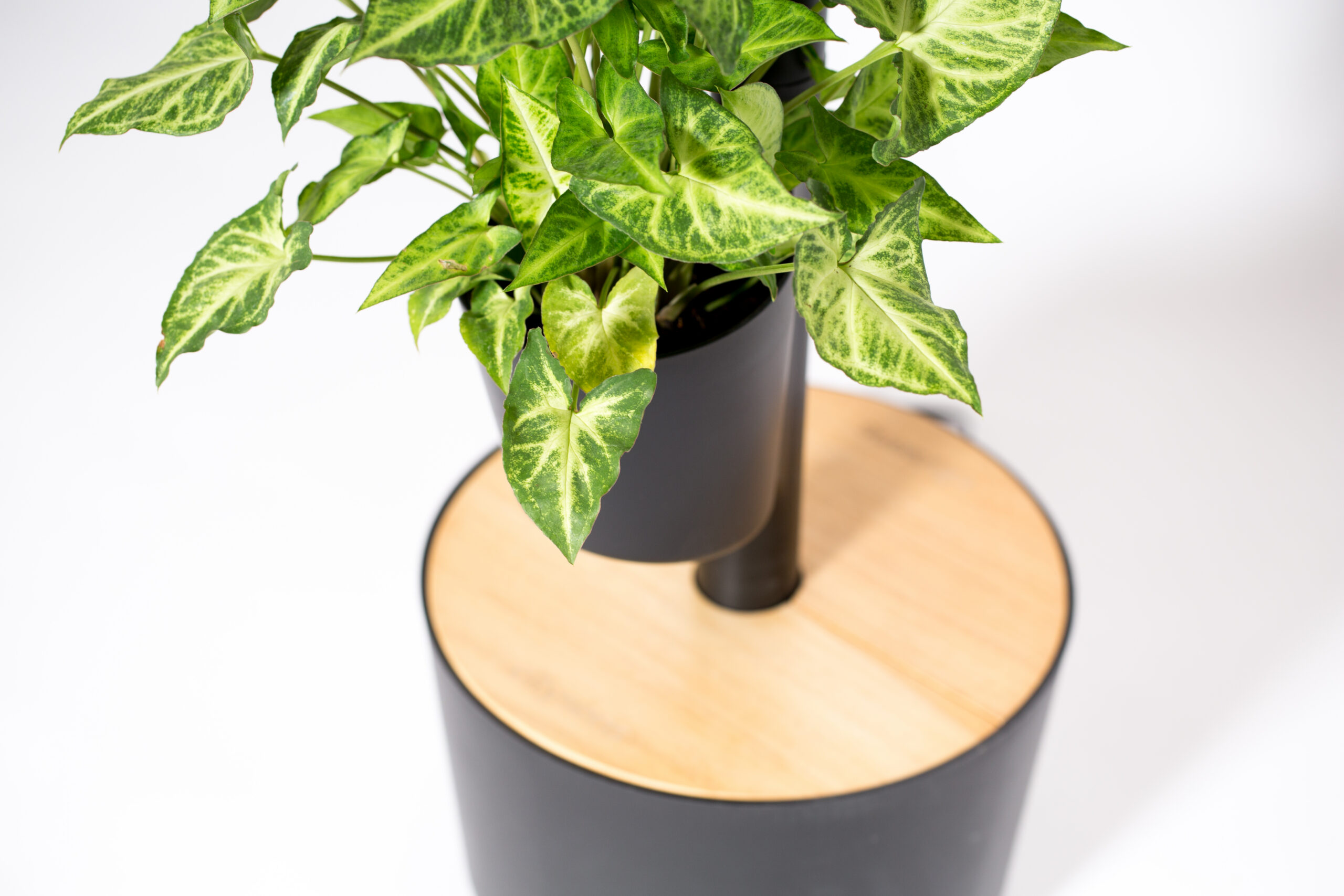 CitySens Vertical Planter – Black 3 Pots with Wi-Fi Smart Watering Kit - Image 3