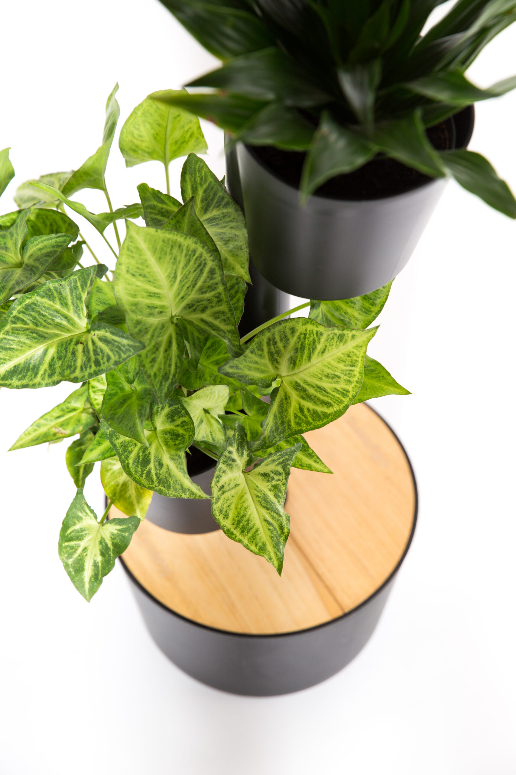 CitySens Vertical Planter – Black 4 Pots with Automatic Watering Digital Kit - Image 3