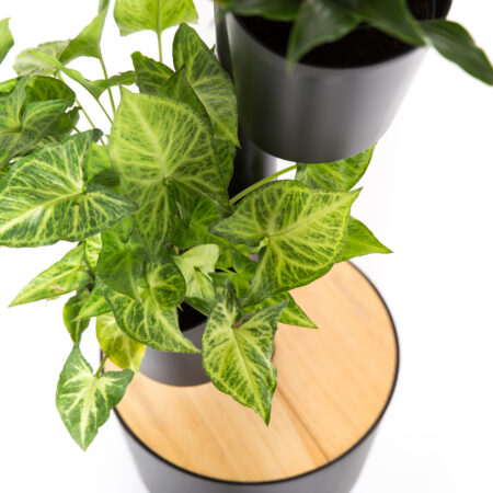 CitySens Vertical Planter – Black 3 Pots with Wi-Fi Smart Watering Kit - Image 2