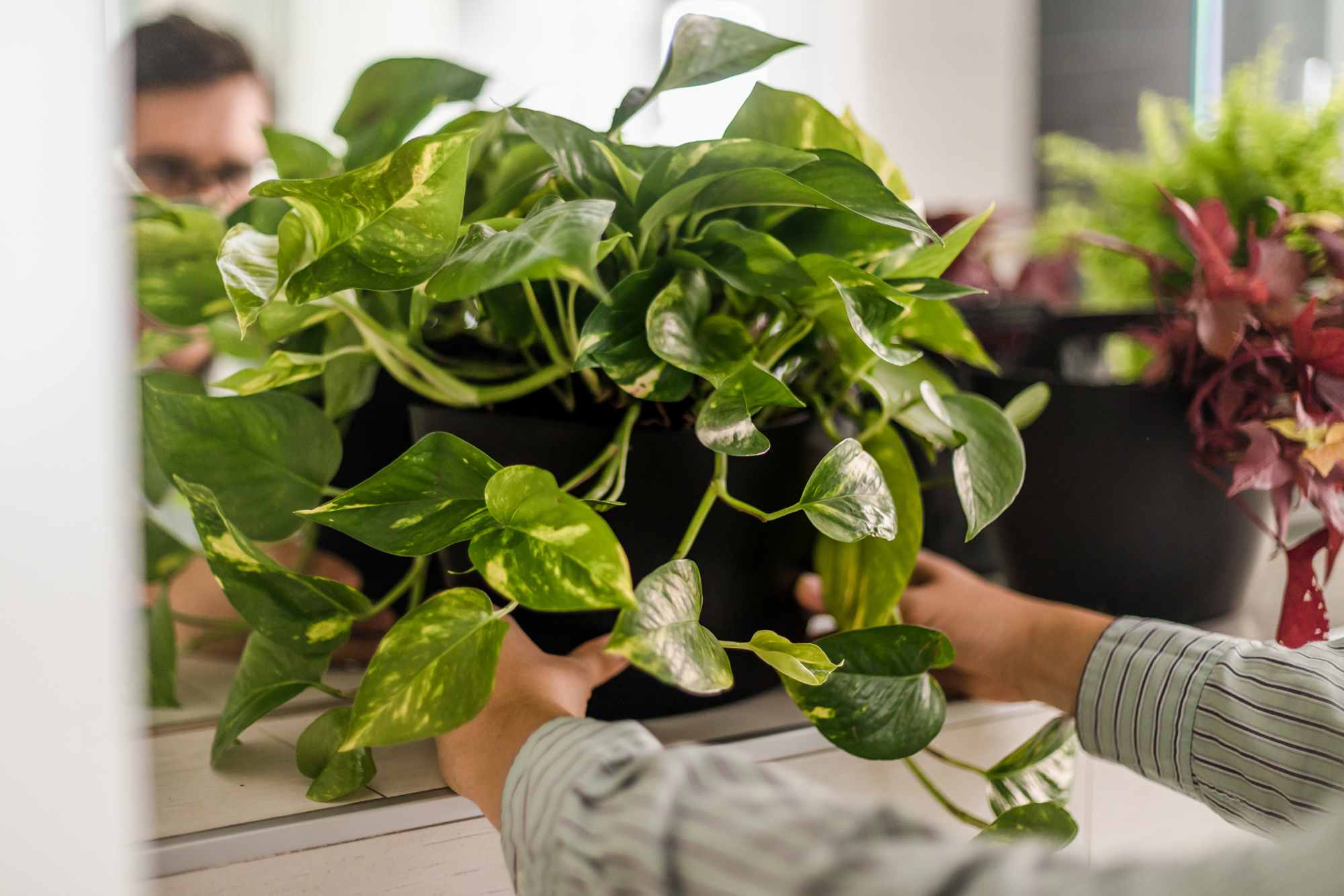 CitySens 3-Pack Wall Planters with Textile Covers and Self-Watering – Black Vertical Planter Set - Image 8