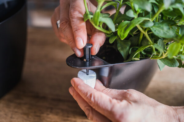 CitySens 3-Pack Wall Planters – Black Vertical Wall Planter Set for Indoor and Outdoor Plants