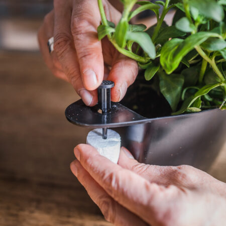 CitySens 3-Pack Wall Planters with Textile Covers and Self-Watering – Black Vertical Planter Set - Image 10