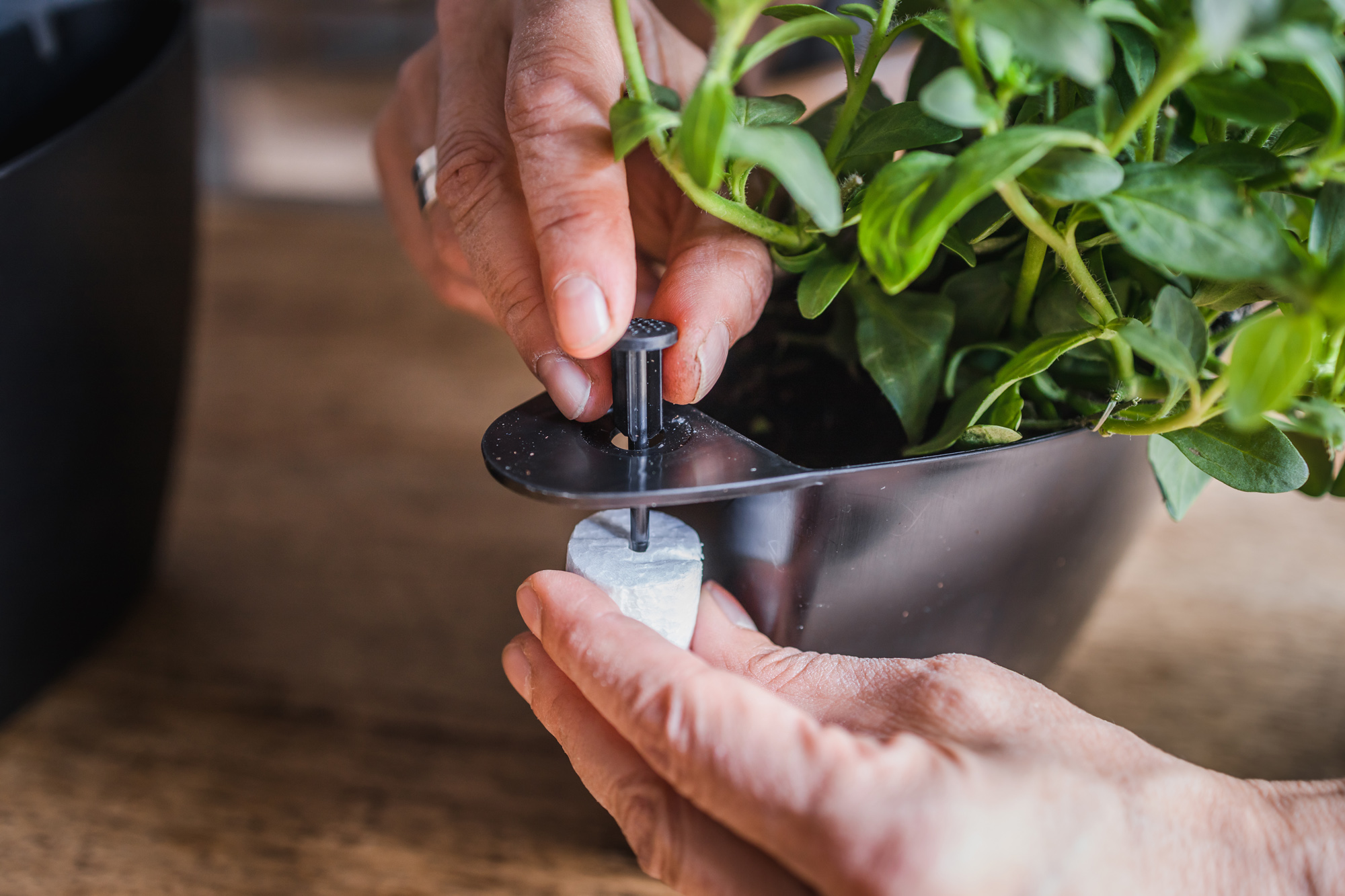 CitySens 3-Pack Wall Planters with Textile Covers and Self-Watering – Black Vertical Planter Set - Image 10