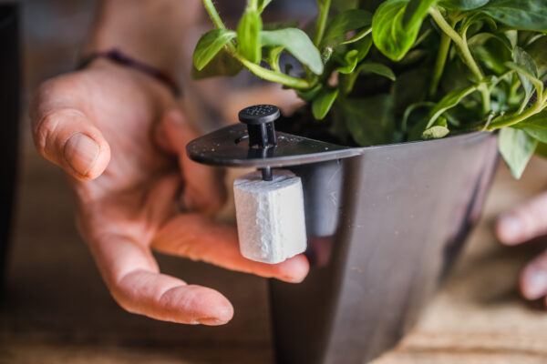 CitySens 3-Pack Wall Planters – Black Vertical Wall Planter Set for Indoor and Outdoor Plants