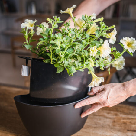 CitySens 3-Pack Wall Planters with Textile Covers and Self-Watering – Black Vertical Planter Set - Image 12