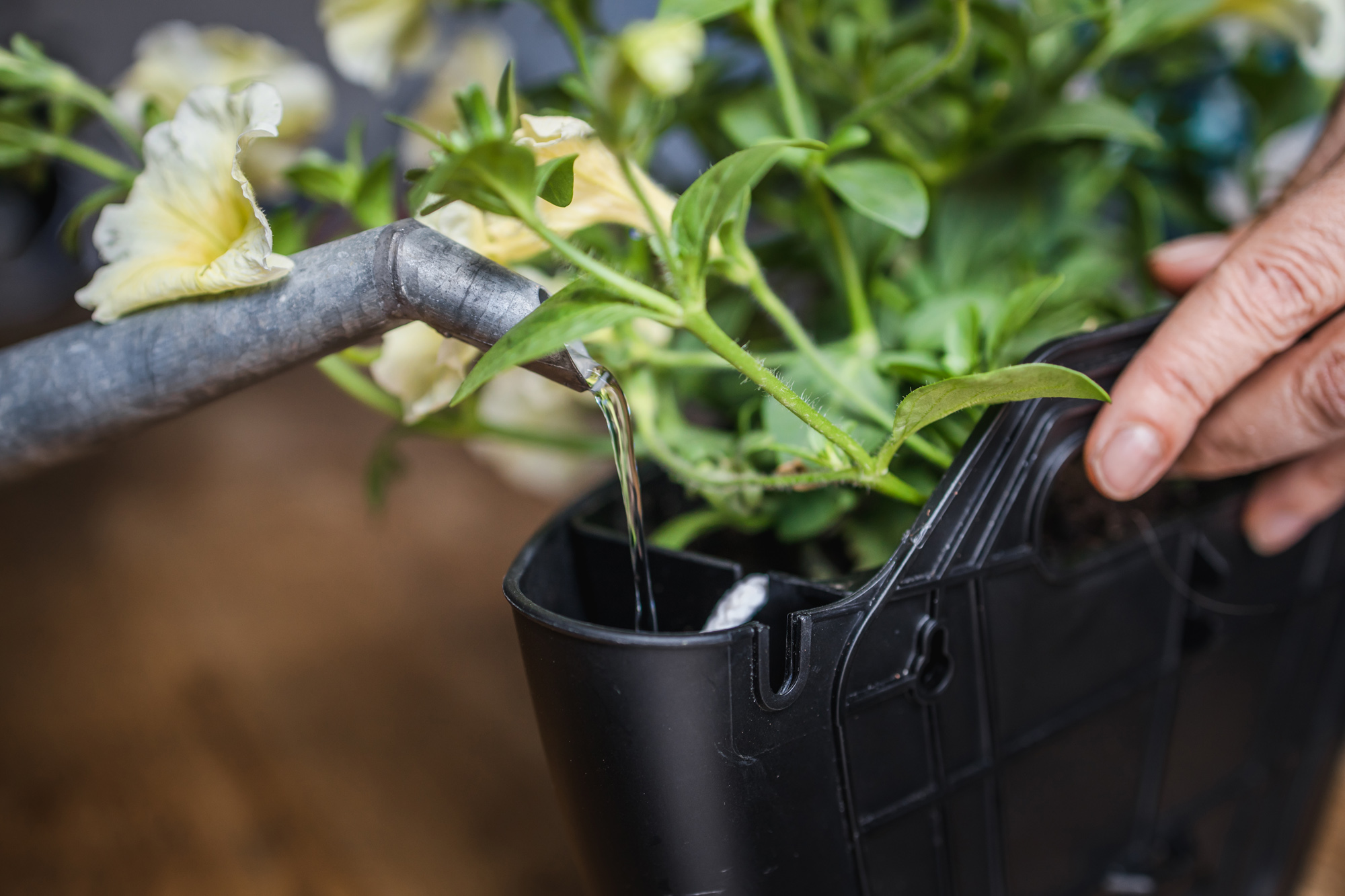 CitySens 3-Pack Wall Planters with Textile Covers – Black Vertical Wall Planter Set with Recycled Covers - Image 8