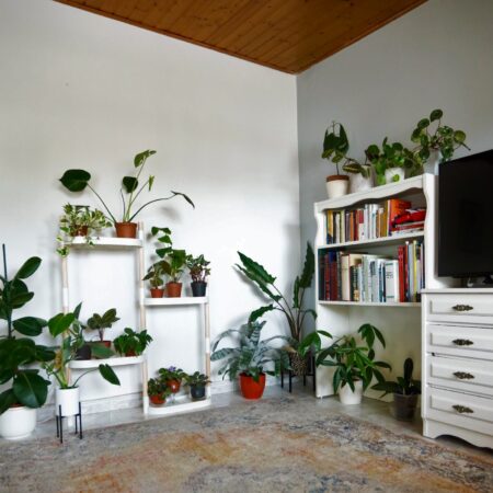 CitySens Modular Plant Shelf – White 4-Tray Indoor Vertical Gardening Shelf - Image 14