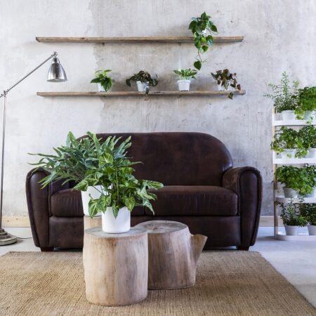 CitySens Modular Plant Shelf – White 4-Tray Indoor Vertical Gardening Shelf - Image 9