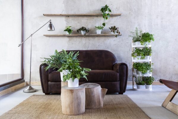 CitySens Modular Plant Shelf – White 4-Tray Indoor Vertical Gardening Shelf